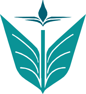 Visionary Minds Logo